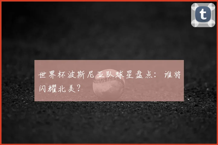 世界杯波斯尼亚队球星盘点：谁将闪耀北美？