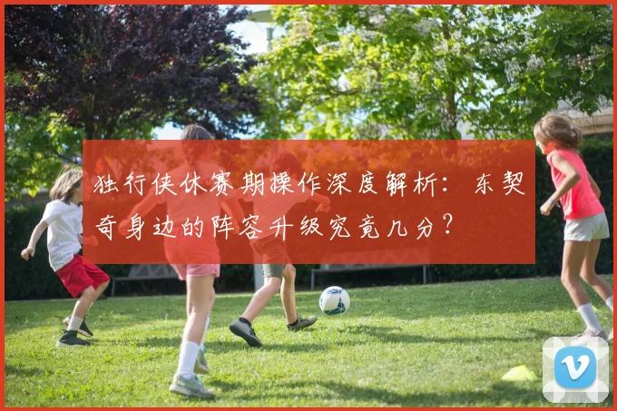 独行侠休赛期操作深度解析：东契奇身边的阵容升级究竟几分？